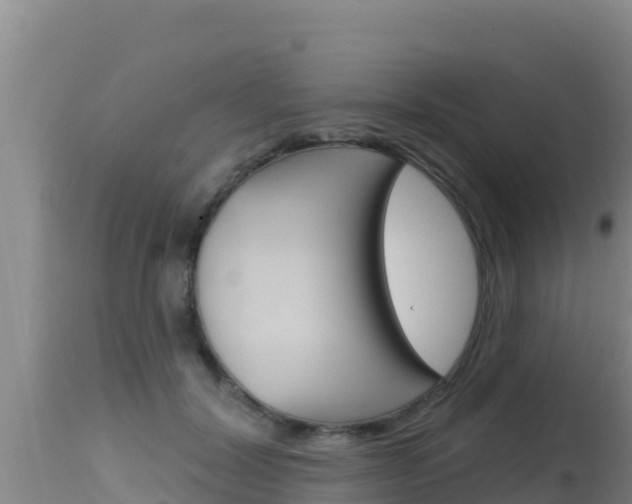 X0000115670604200911121008