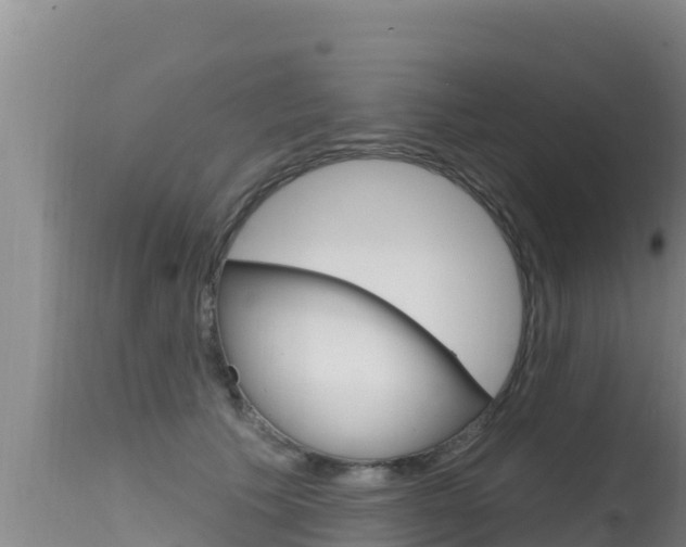 X0000115670609200911121008