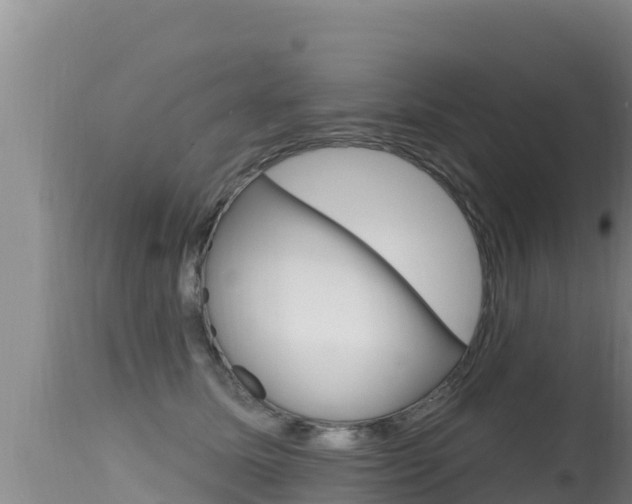 X0000115670611200911121008