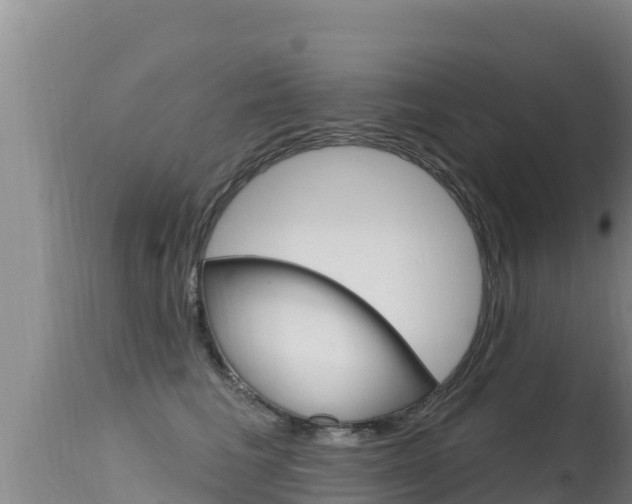 X0000115670613200911121008