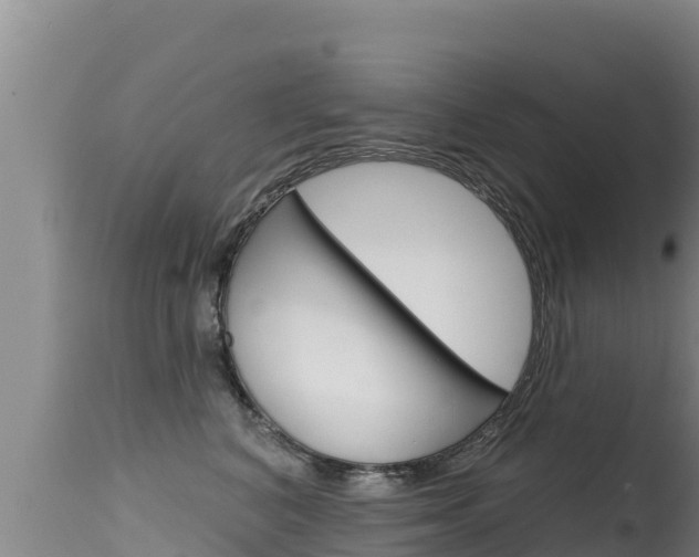X0000115670616200911121008