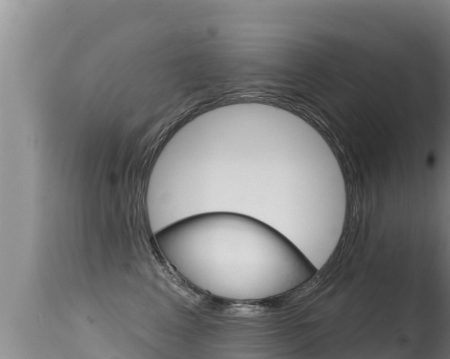X0000115670617200911121008