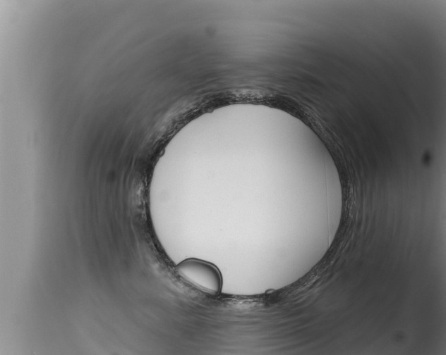 X0000115670619200911121008