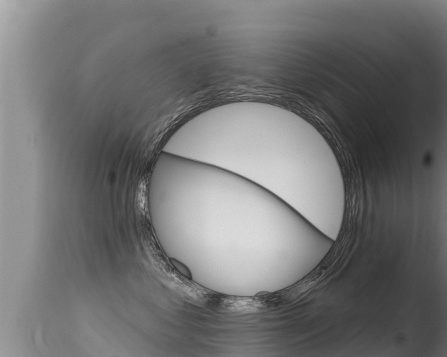 X0000115670621200911121008