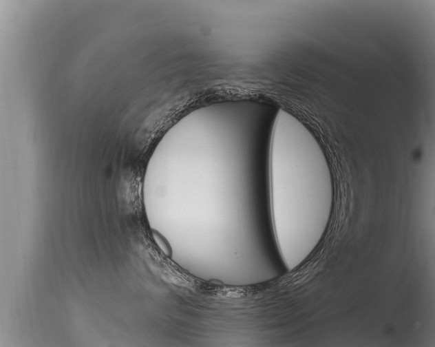 X0000115670624200911121008