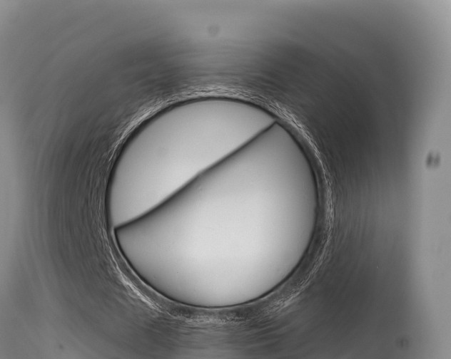 X0000115670625200911121007
