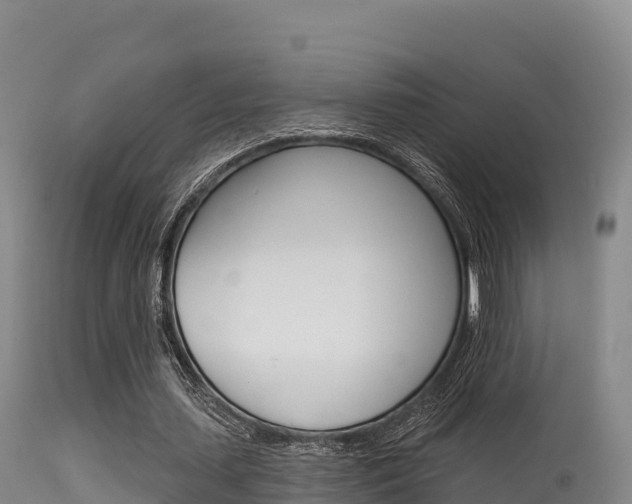 X0000115670627200911121007