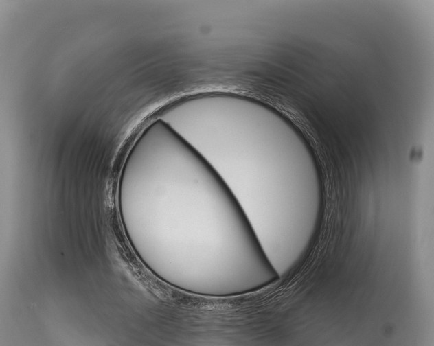 X0000115670628200911121007