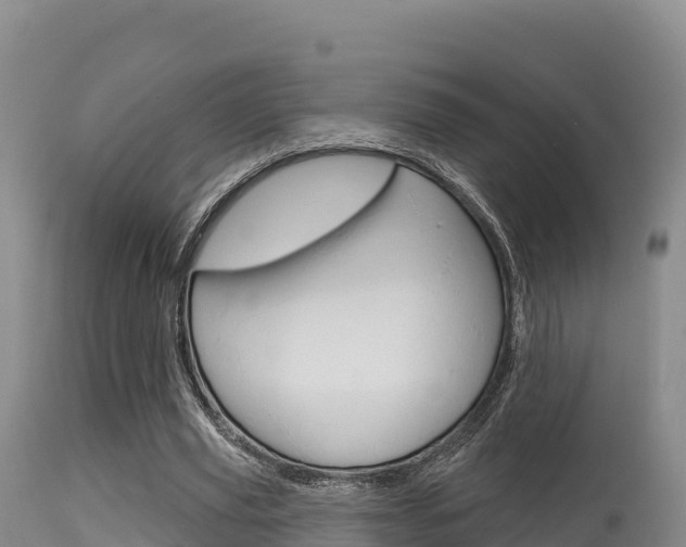 X0000115670629200911121007