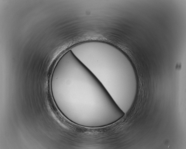 X0000115670630200911121007