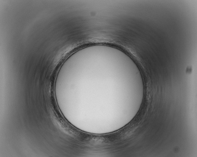X0000115670631200911121007