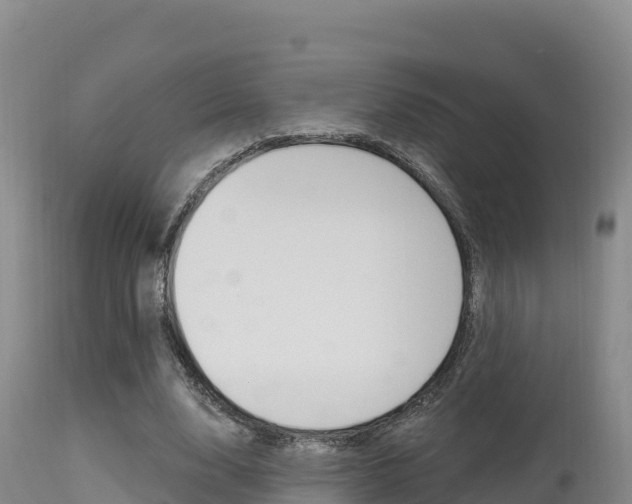 X0000115670632200911121007