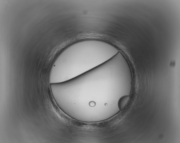 X0000115670633200911121007