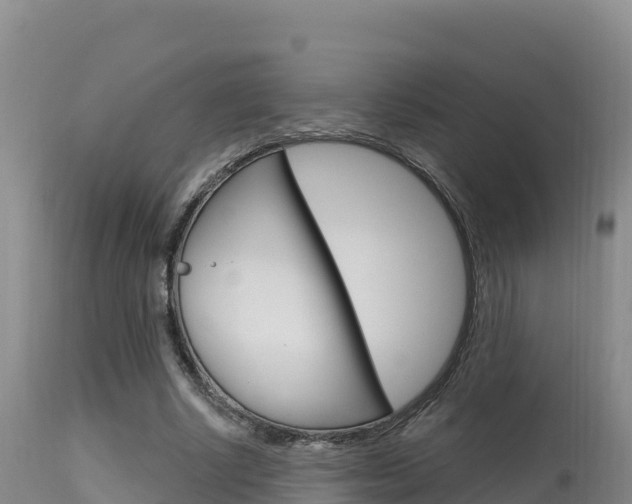 X0000115670634200911121007