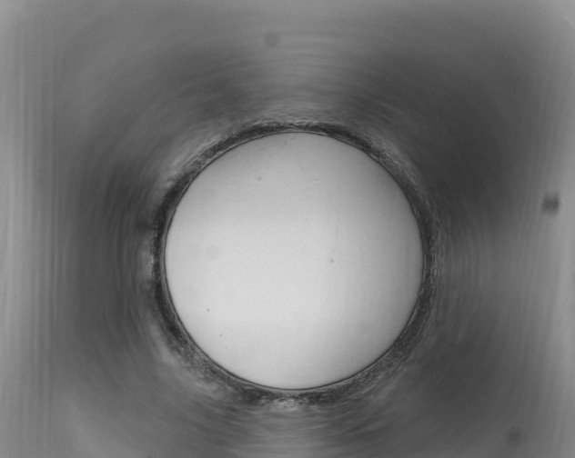 X0000115670635200911121007