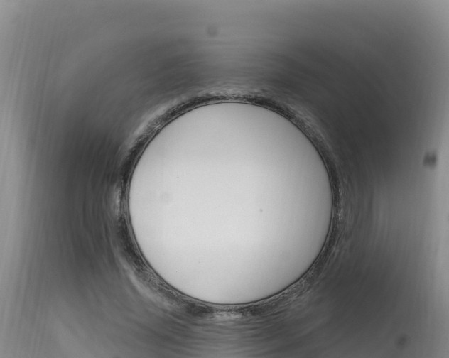 X0000115670636200911121007