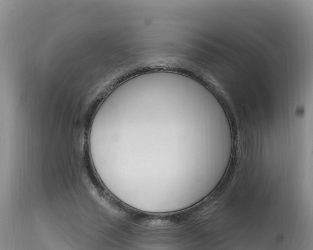 X0000115670637200911121007