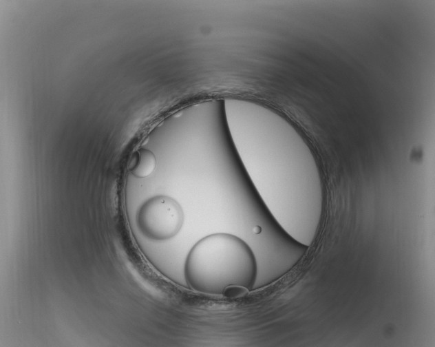 X0000115670638200911121007