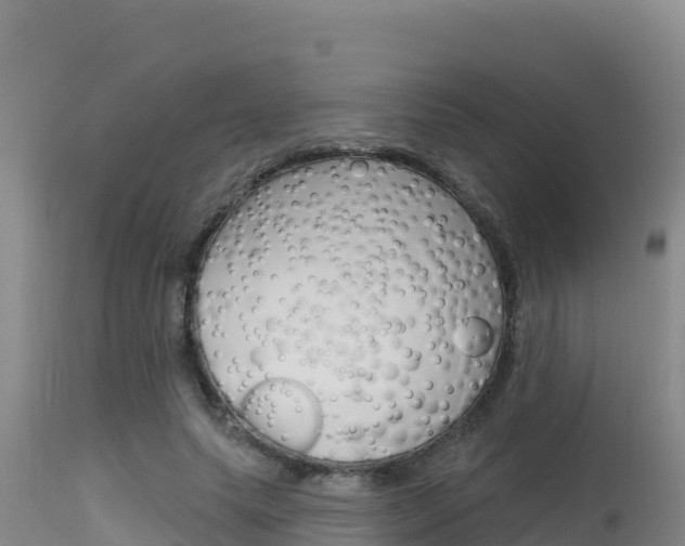 X0000115670639200911121007