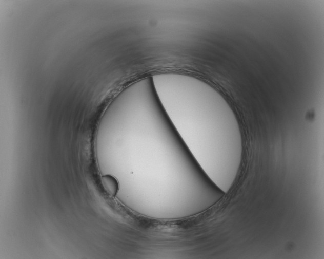 X0000115670642200911121007