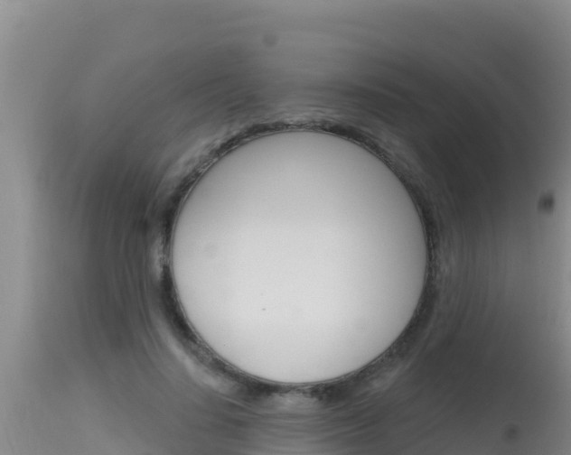 X0000115670644200911121007