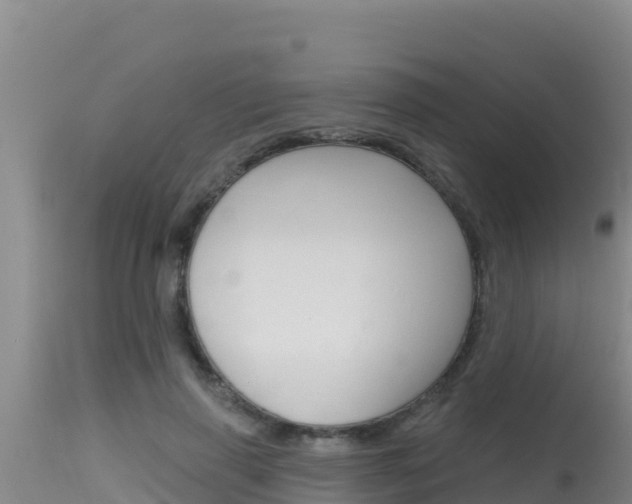 X0000115670645200911121007