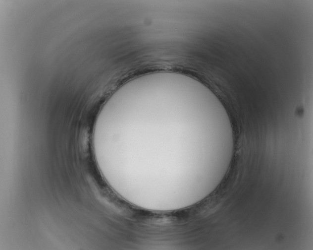 X0000115670646200911121007