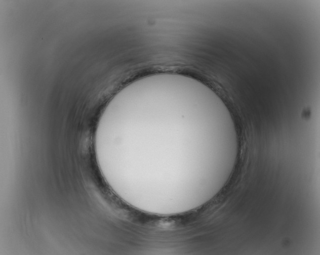 X0000115670647200911121007