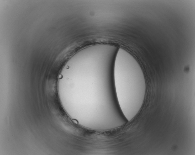 X0000115670648200911121007