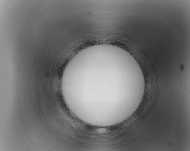 X0000115670659200911121007
