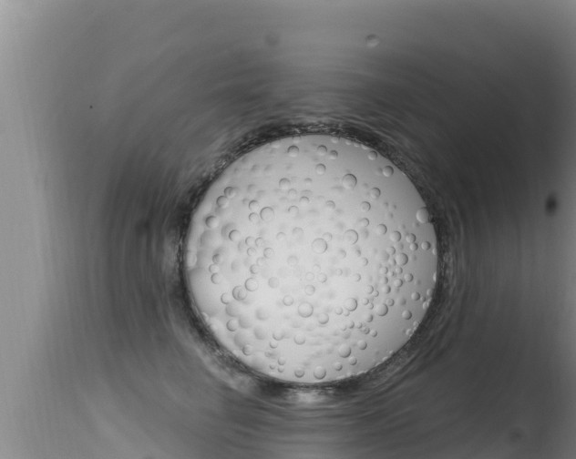 X0000115670662200911121008
