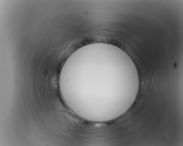 X0000115670663200911121008