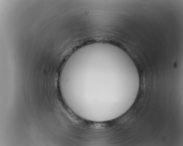 X0000115670664200911121008