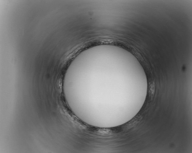 X0000115670666200911121008