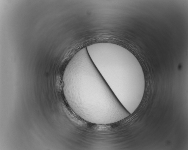 X0000115670670200911121008
