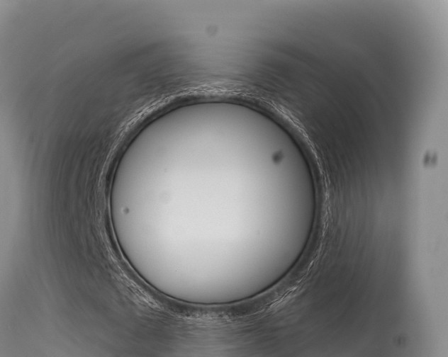 X0000115670673200911121007