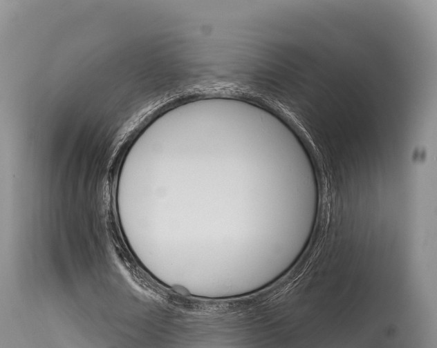 X0000115670674200911121007