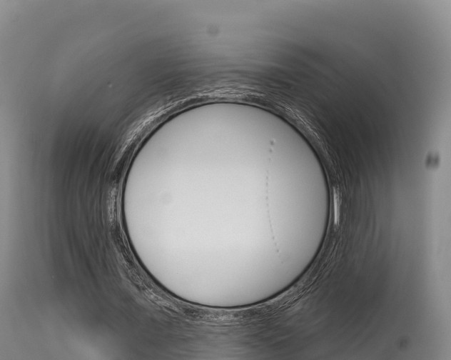 X0000115670675200911121007