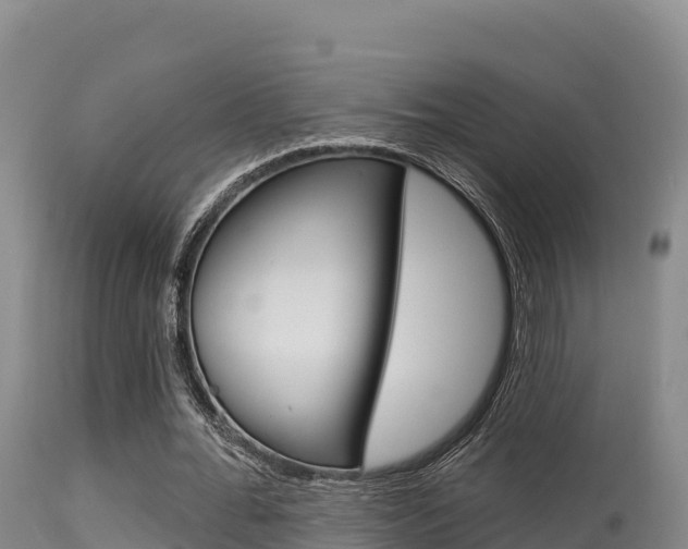 X0000115670676200911121007