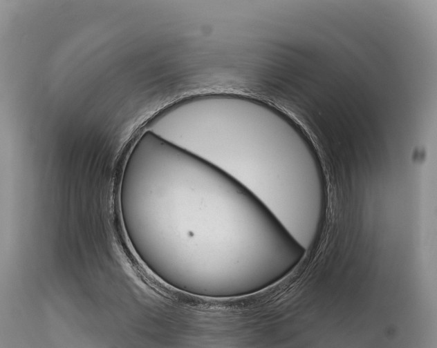 X0000115670677200911121007
