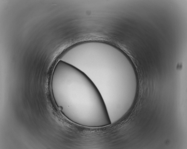 X0000115670679200911121007