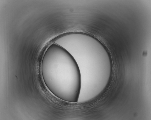 X0000115670680200911121007