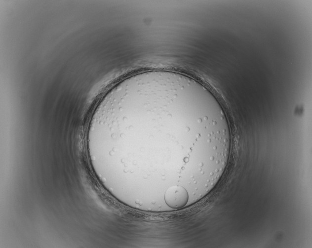 X0000115670682200911121007