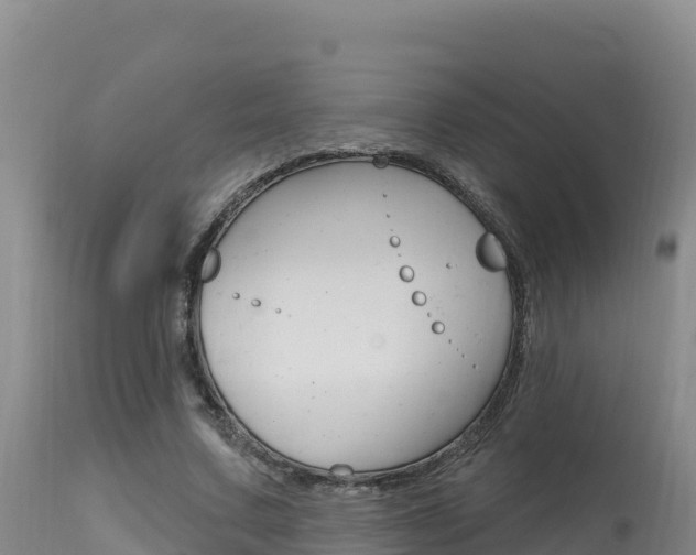 X0000115670683200911121007