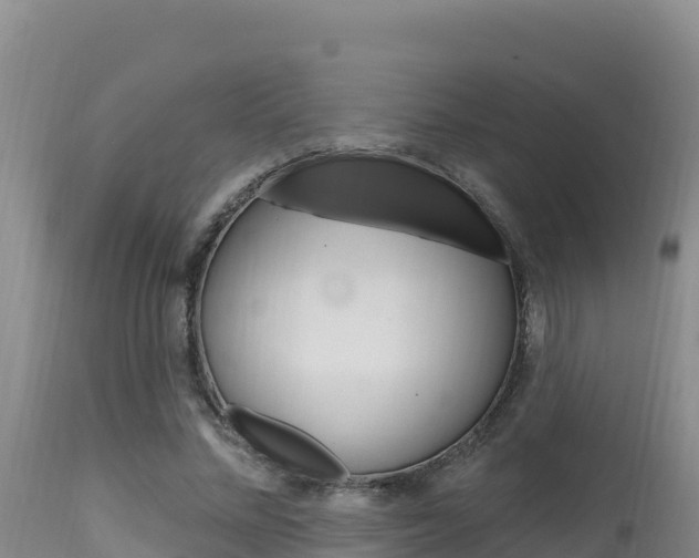 X0000115670684200911121007