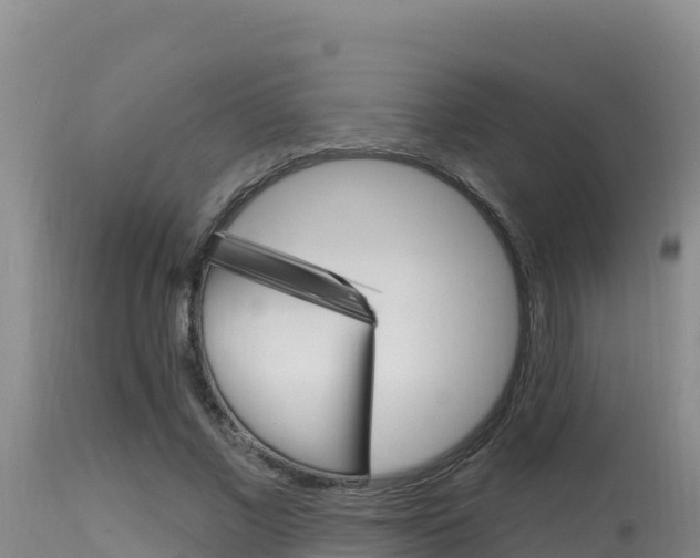 X0000115670685200911121007