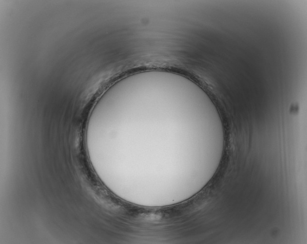 X0000115670687200911121007
