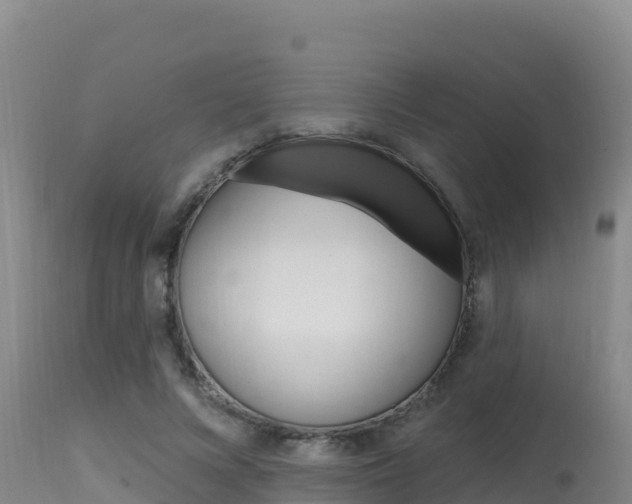 X0000115670688200911121007