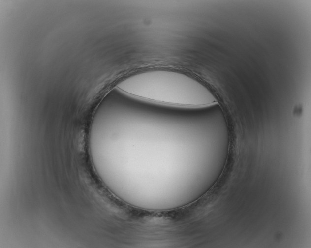 X0000115670689200911121007