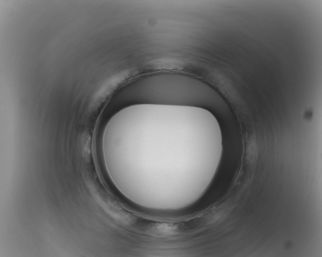 X0000115670692200911121007
